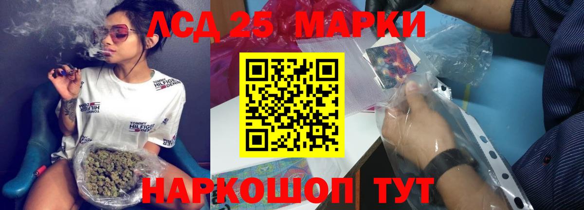 ГАШИШ Курчатов