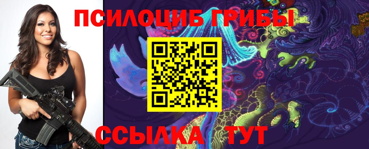 Псилоцибиновые грибы ЛСД  Псилоцибиновые грибы прущие грибы  Курчатов  где продают наркотики  Вход с VPN 