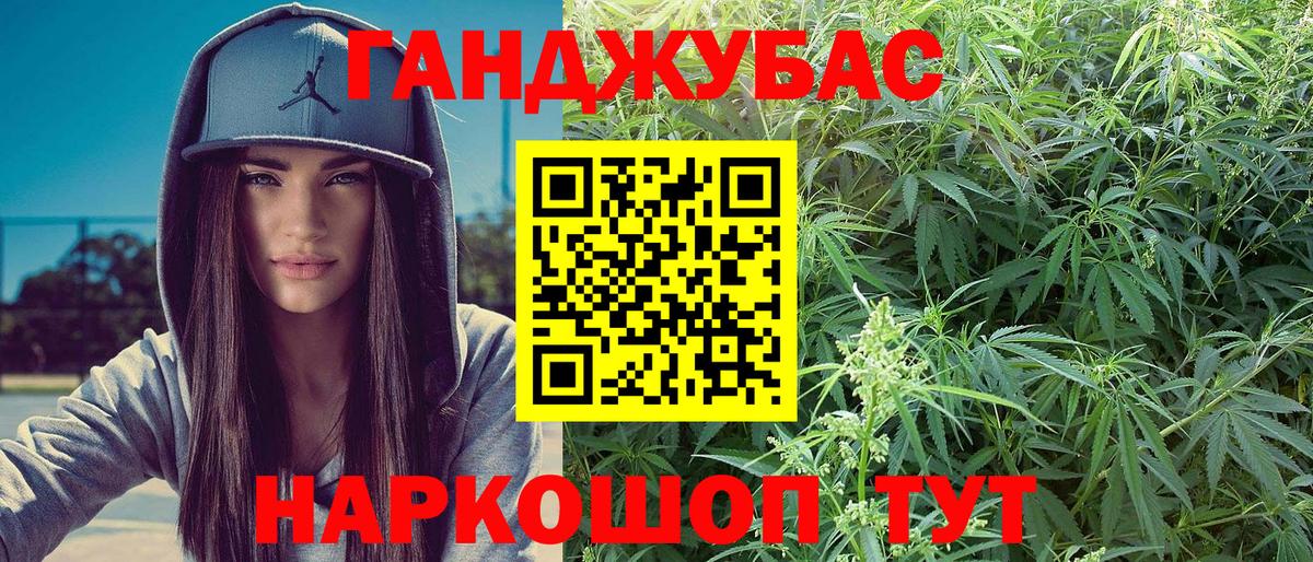 Каннабис сатива Курчатов